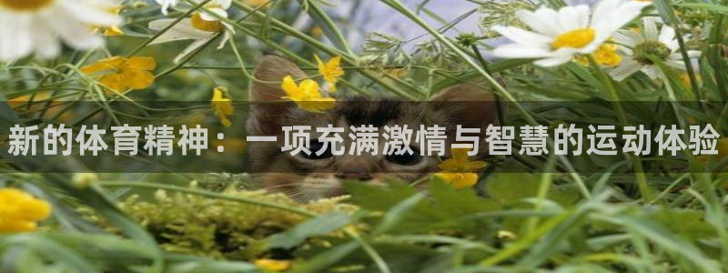 oety欧亿体育官网下载平台注册要钱吗安全吗：新的体