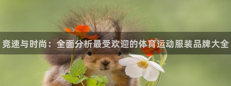 欧亿体育官方正版app娱乐：竞速与时尚：全面分析最受