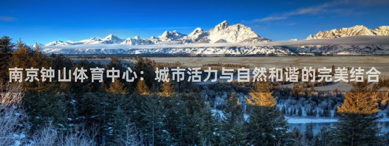 欧亿体育官方正版app娱乐40996：南京钟山体育中心：城市