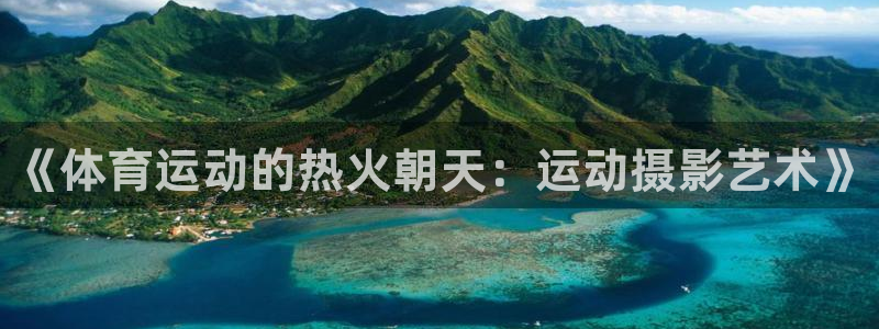 海南oety欧亿体育官网下载：《体育运动的热火朝天：运动摄影