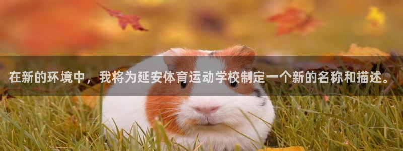 欧亿体育官方正版app娱乐下载：在新的环境中，我将为