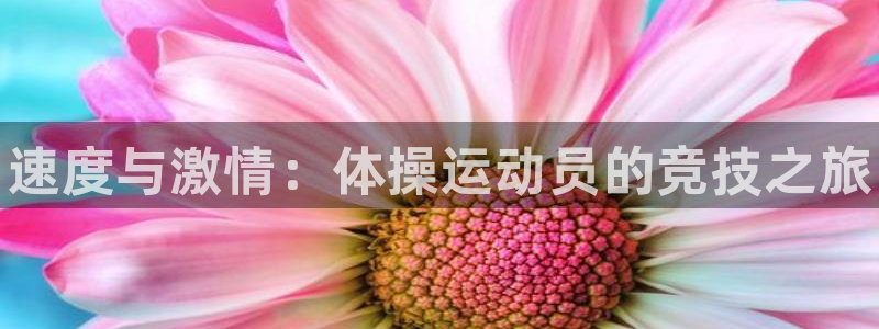 欧亿体育官方正版app五金厂：速度与激情：体操运动员的竞技之