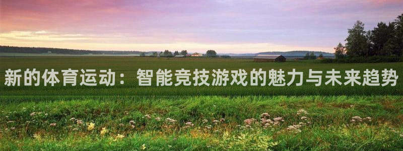 海南oety欧亿体育官网下载：新的体育运动：智能竞技
