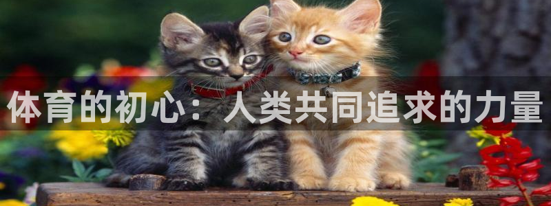德国欧亿体育官方正版app集团