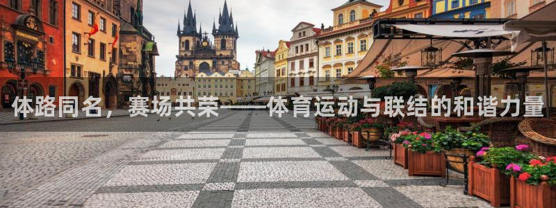 oety欧亿体育官网下载平台注册要钱吗：体路同名，赛场共荣—