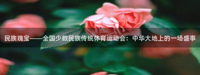 oety欧亿体育官网下载招商电话地址是多少：民族瑰宝——全国