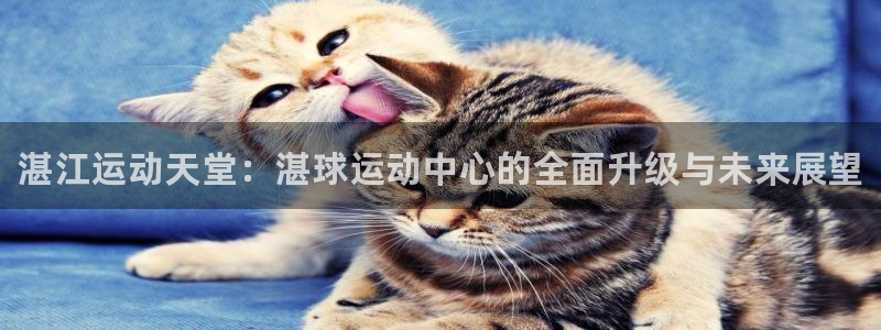 欧亿体育官方正版app娱乐下载：湛江运动天堂：湛球运动中心的