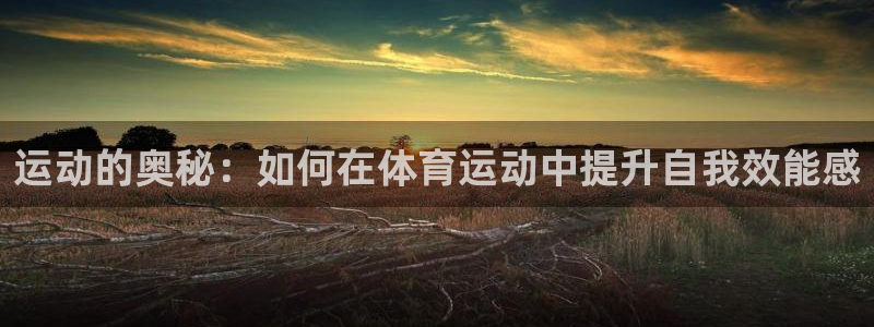 oety欧亿体育官网下载官方客服电话