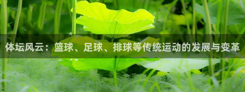 欧亿体育官方正版app集团简介：体坛风云：篮球、足球、排球等