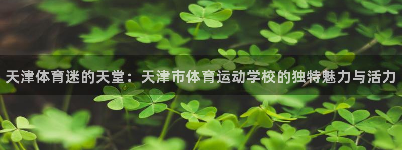 欧亿体育官方正版app集团官网首页：天津体育迷的天堂：天津市