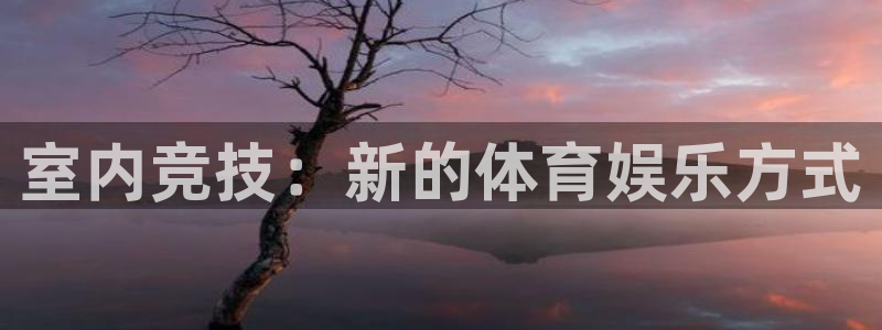 oety欧亿体育官网下载平台注册流程图：室内竞技：新的体育娱