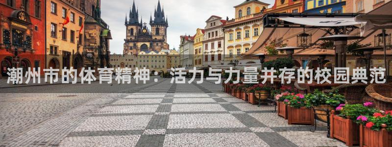 oety欧亿体育官网下载平台注册要钱吗：潮州市的体育