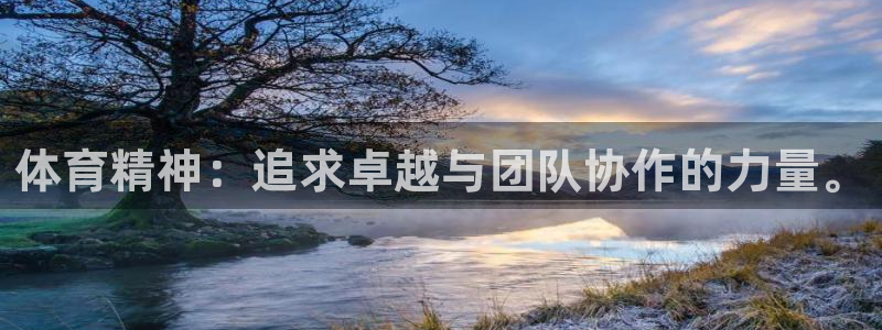 欧亿体育官方正版app科技：体育精神：追求卓越与团队协作的力